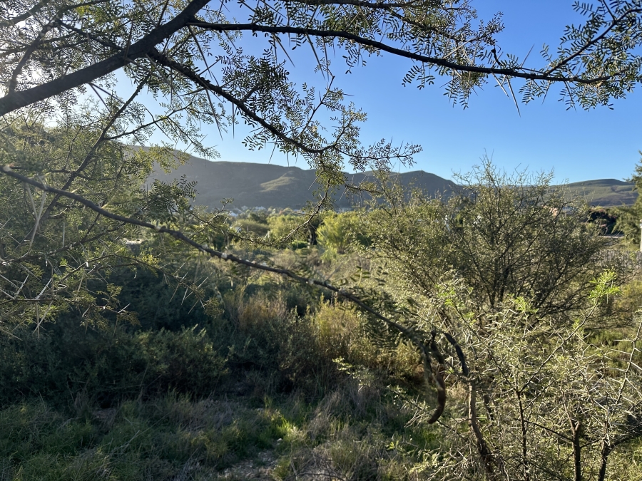 0 Bedroom Property for Sale in Barrydale Western Cape